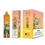 ARKMOON &RENOLM TORANDO  30000 Puffs （LD-020）