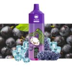 Aokit  PLOY BAR 22000Puffs