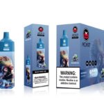 Aokit Vape RC 9000 Puffs